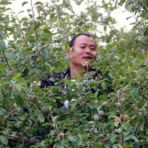苹果拍照带时间的软件，定格时光的奇妙工具