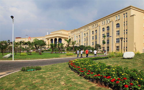 跟着成都王老师摄影探秘国外摄影专业的大学