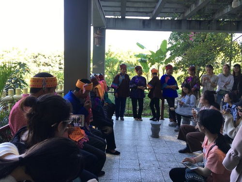 从山东理工大学摄影专业到成都王老师摄影，一场光影之旅的奇妙碰撞