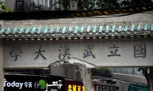 从山东理工大学摄影专业到成都王老师摄影，一场光影之旅的奇妙碰撞