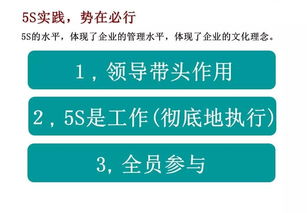 成都王老师摄影，培训视频快速通关秘籍，拿走不谢！
