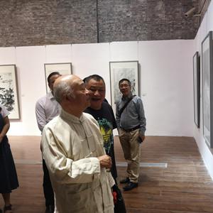 成都王老师摄影，南通短视频培训里的别样光影魔法