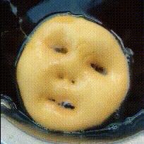 拍照背景图怎么弄好看 拍照背景图怎么弄好看