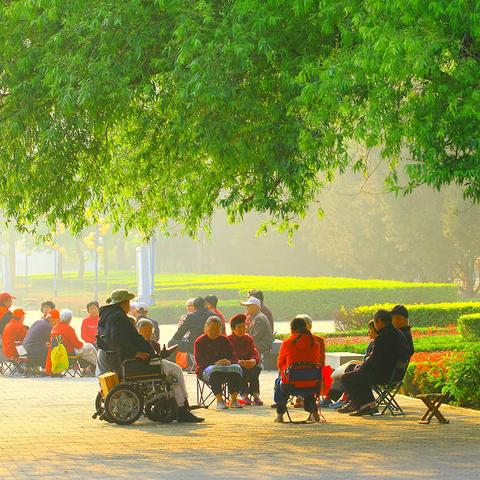 从邢台到成都，在王老师摄影开启奇妙摄影之旅
