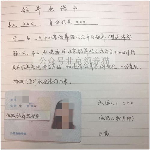 拍照合同有用吗 拍照合同有用吗