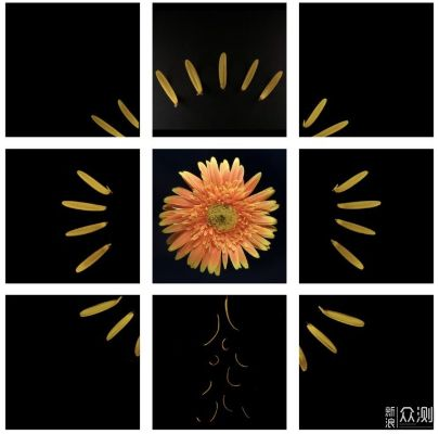 手机拍照怎样出现九宫格 手机拍照怎样出现九宫格