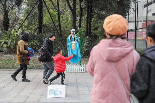 跟着成都王老师摄影，开启跟拍摄影师培训的奇妙之旅