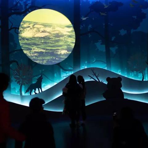跟着成都王老师摄影，开启摄影高考培训的奇妙之旅