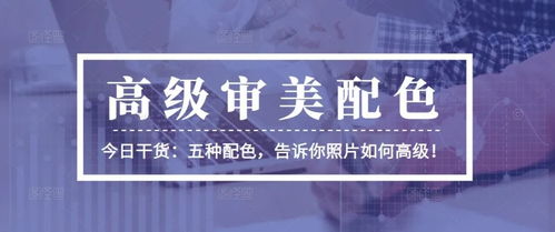 跟着成都王老师摄影，解锁短视频课程培训的奇妙世界