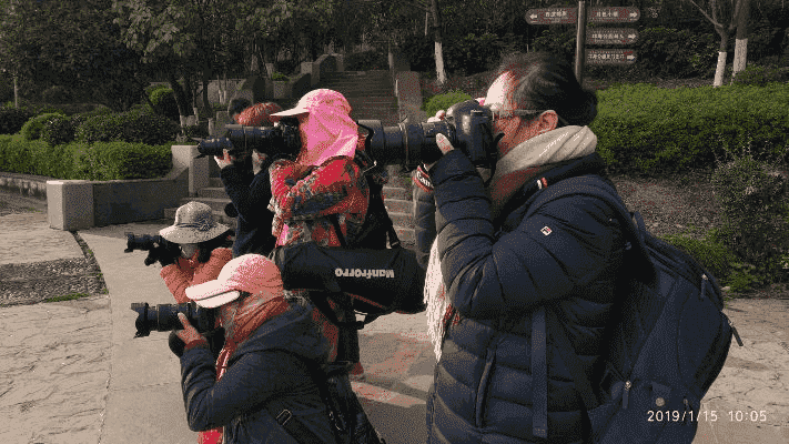 从成都到葫芦岛，王老师摄影的培训奇妙之旅