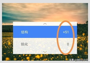 手机拍照颜色怎么调整颜色鲜艳 手机拍照颜色怎么调整颜色鲜艳