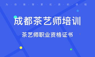 探秘摄影培训机构排名，成都王老师摄影凭啥脱颖而出？