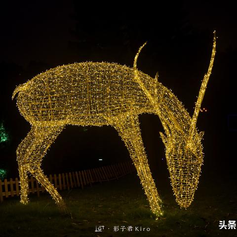 成都王老师摄影,把成都的光影魔法带到北京摄影培训班 成都王老师摄影,把成都的光影魔法带到北京摄影培训班