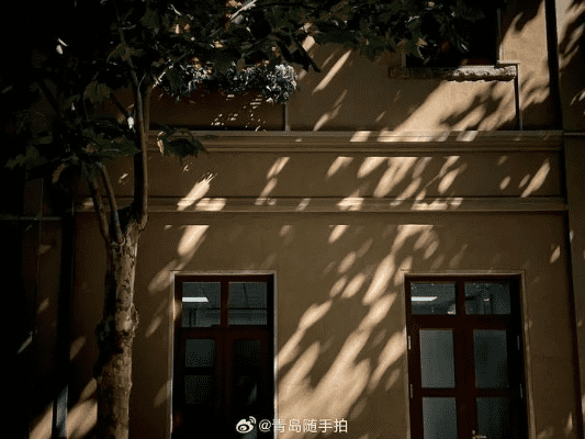从青岛摄影专业高校到成都王老师摄影，一场光影之旅