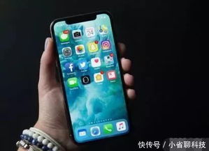 苹果手机哪款拍照效果最好适合直播