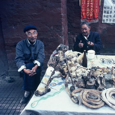嘿，在成都王老师摄影探寻学习摄影的奇妙网站之旅