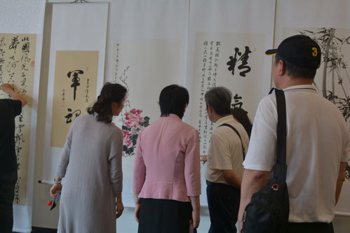 成都王老师摄影,摄影本科专业的别样映画之旅 成都王老师摄影,摄影本科专业的别样映画之旅