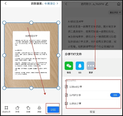 拍照把图片文字转化成文档格式怎么弄