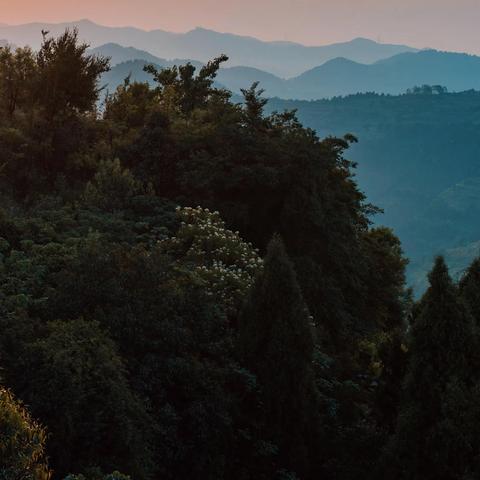 探寻成都摄影培训的宝藏之地，成都王老师摄影