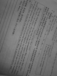拍照技术好怎么形容词语 拍照技术好怎么形容词语