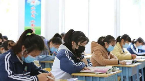 嘿，学习摄影难吗？成都树莓教育有话说！