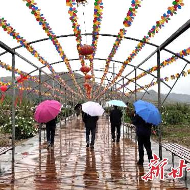 在成都树莓教育，解锁高级摄影培训的奇妙之旅