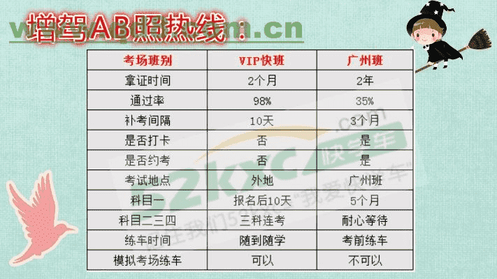 嘿，想学B照？来瞅瞅成都树莓教育呀！