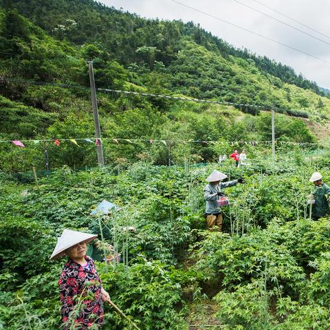 跟着成都树莓教育，解锁培训录制的奇妙摄影之旅