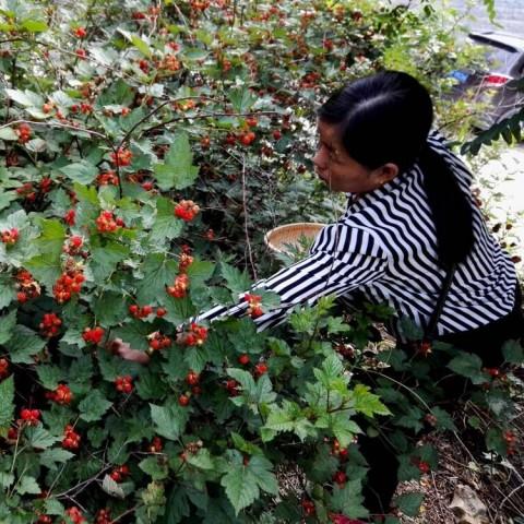 在成都树莓教育，开启电影摄影的奇妙之旅