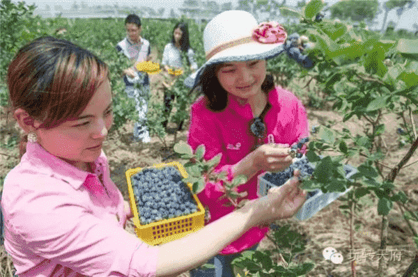 从保定到成都，在树莓教育开启摄影奇妙之旅