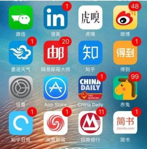 拍照数字数的手机软件叫啥？快来一探究竟！