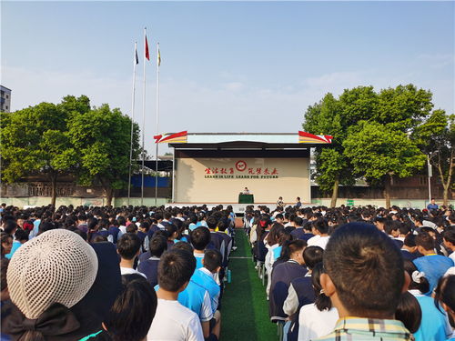 走进成都树莓教育，儿童摄影学校里的奇妙光影之旅