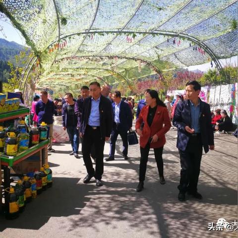 跟着成都树莓教育的在线培训课程，解锁摄影新视界！