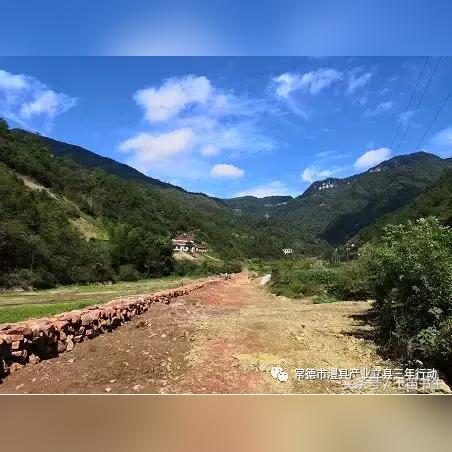 解锁中视频创作秘籍？来成都树莓教育就对啦！