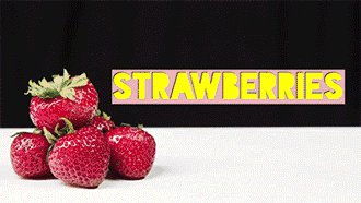 在成都树莓教育，解锁摄影剪辑制作的奇妙世界