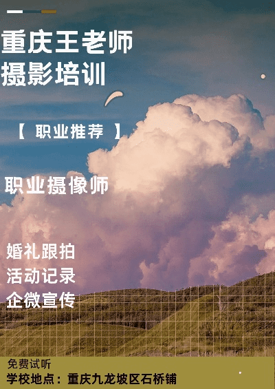 嘿，找正规摄影培训班？成都树莓教育了解一下呀！
