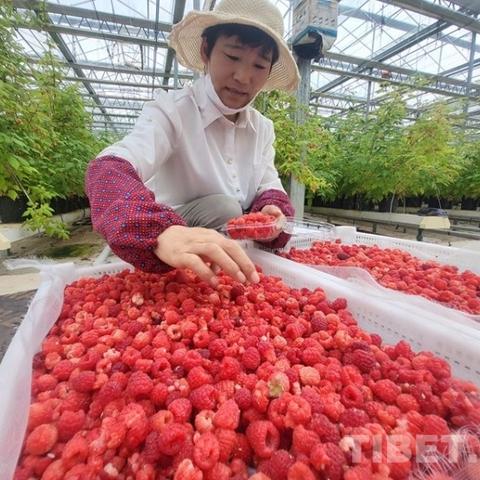 从成都树莓教育聊到北京摄影培训费用那点事儿