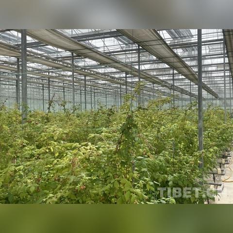 从成都树莓教育聊到北京摄影培训费用那点事儿
