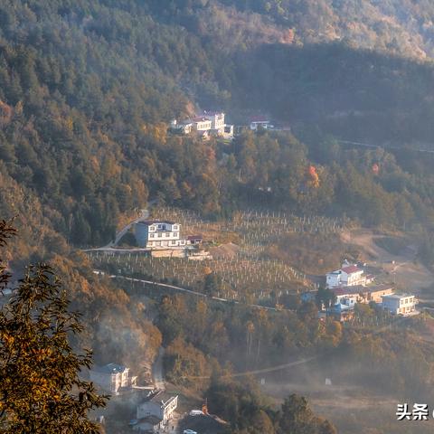 跟着成都树莓教育，踏入摄影艺术学的奇妙世界
