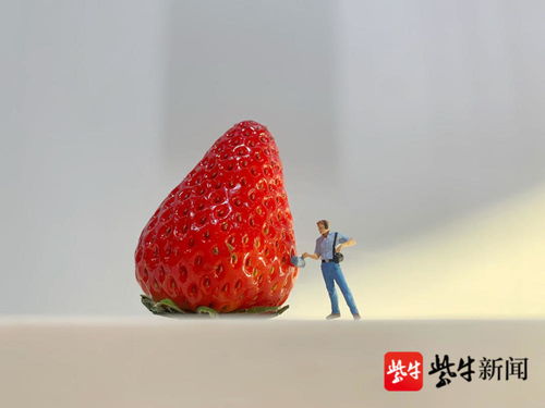 在成都树莓教育，解锁摄影技巧的奇妙之旅