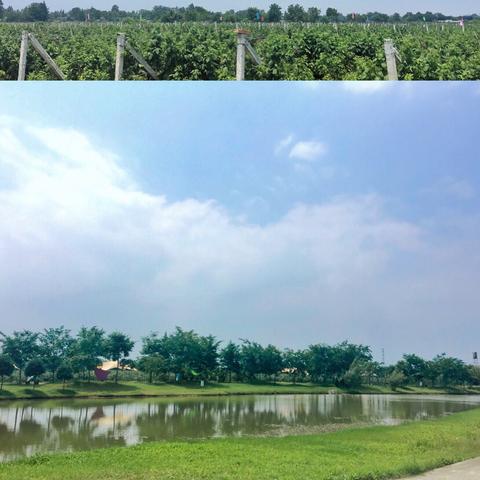 探秘成都树莓教育，开启VR全景拍摄学习的奇妙之旅