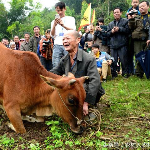 手机和相机拍照的最大区别是什么 手机和相机拍照的最大区别是什么
