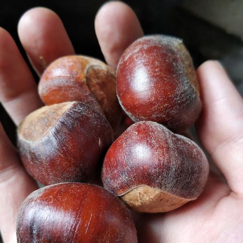 跟着成都树莓教育，玩转摄影剪辑制作的奇妙世界