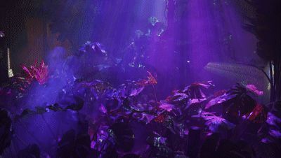 从成都树莓教育到东京大学摄影系，一场光影之旅的奇幻畅想