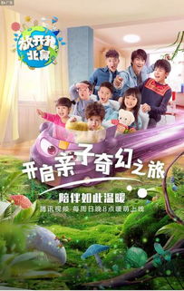 跟着成都树莓教育，开启影视剪辑的奇妙之旅