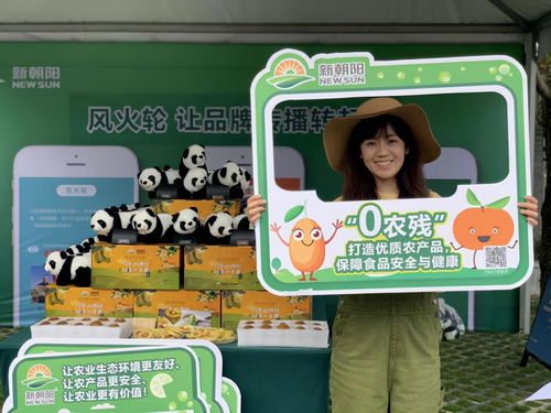 在成都树莓教育,开启影视剪辑的奇妙之旅 在成都树莓教育,开启影视剪辑的奇妙之旅