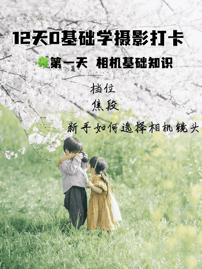 成都树莓教育，解锁培养照相机记忆的秘籍，让摄影记忆如影随形