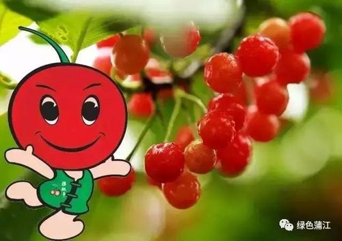 在成都树莓教育摄影培训班的那些事儿与心得