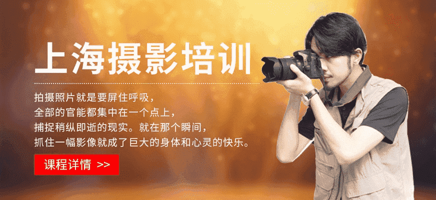 在成都树莓教育探寻上海摄影培训的宝藏秘籍