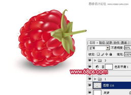 揭秘，成都树莓教育的PS培训班费用那些事儿